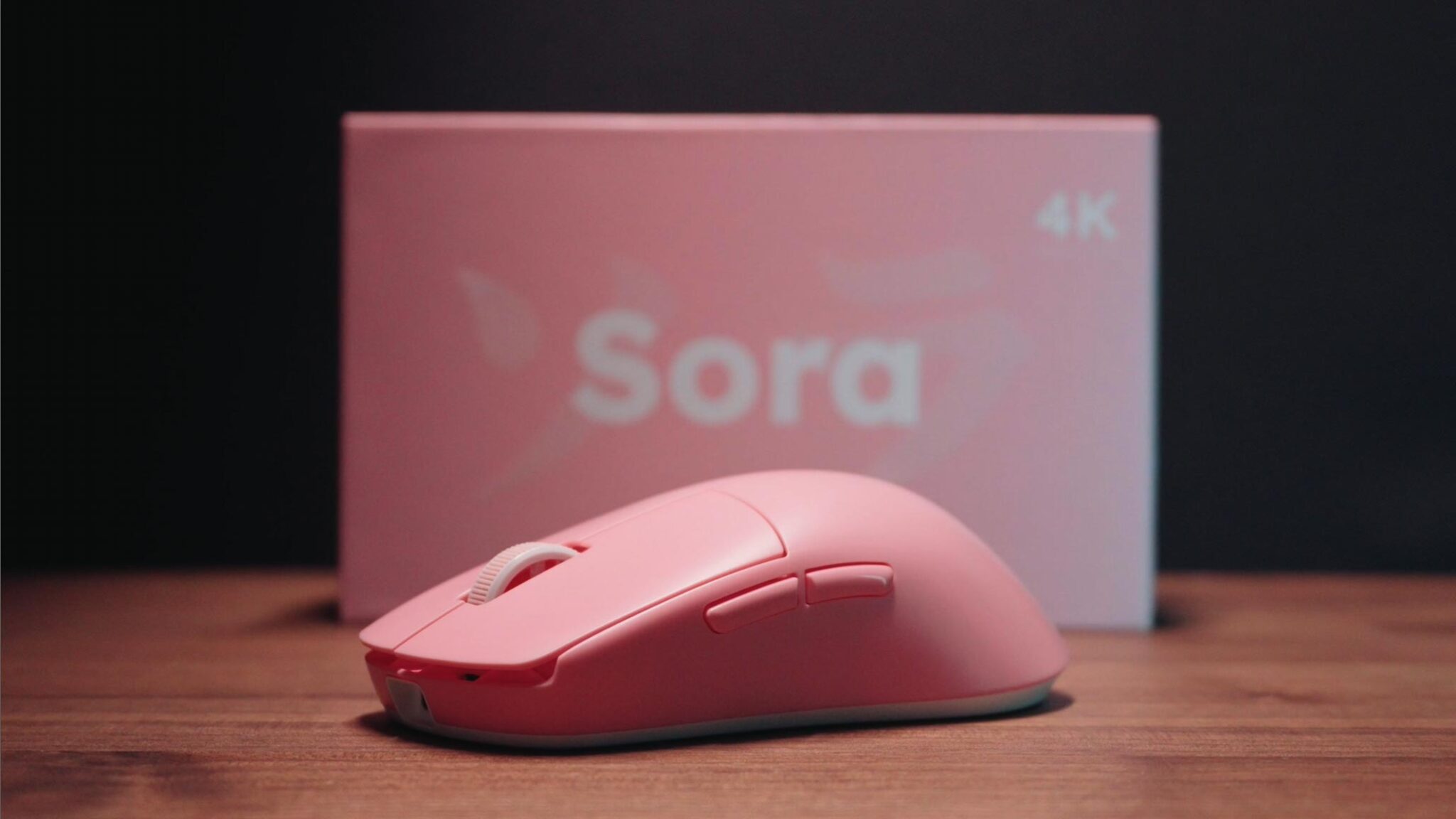 Ninjutso Sora 4K ninjutso-sora-4k